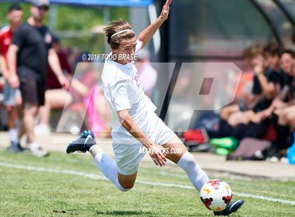 Thumbnail 2 in Maryville @ Dobyns-Bennett (TSSAA AAA Sectional Playoff) photogallery.