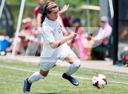 Thumbnail 1 in Maryville @ Dobyns-Bennett (TSSAA AAA Sectional Playoff) photogallery.