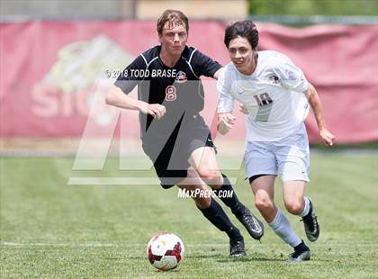 Thumbnail 3 in Maryville @ Dobyns-Bennett (TSSAA AAA Sectional Playoff) photogallery.