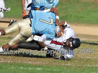 Thumbnail 1 in Johnson @ Burbank photogallery.