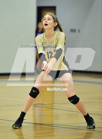 Thumbnail 1 in Fort Bend Austin vs. Conroe (Katy/CyFair Volleyball Classic) photogallery.