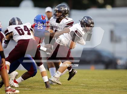Thumbnail 2 in Thorsby vs. Verbena photogallery.