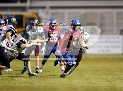 Thumbnail 2 in Thorsby vs. Verbena photogallery.