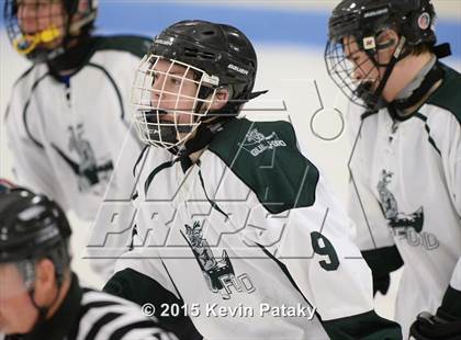 Thumbnail 3 in Rockville/Bolton/Coventry @ Guilford photogallery.