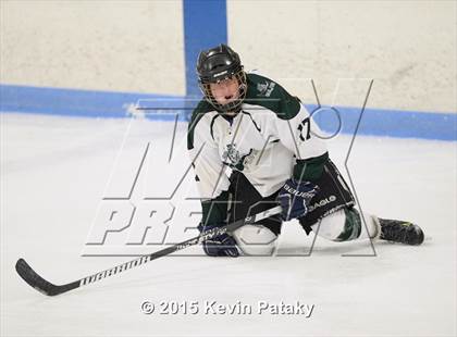 Thumbnail 2 in Rockville/Bolton/Coventry @ Guilford photogallery.