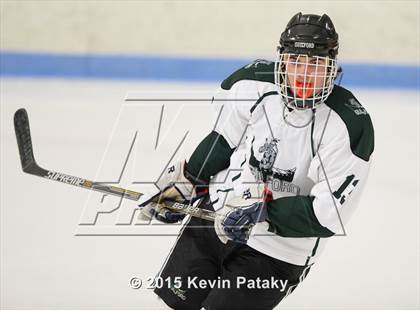 Thumbnail 3 in Rockville/Bolton/Coventry @ Guilford photogallery.