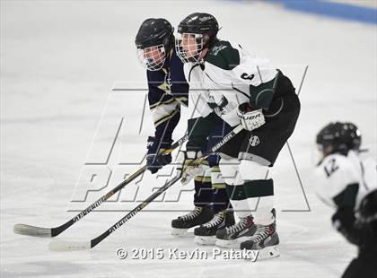 Thumbnail 3 in Rockville/Bolton/Coventry @ Guilford photogallery.