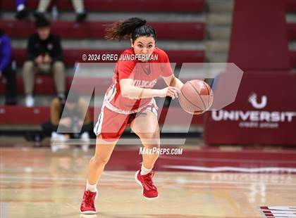 Thumbnail 1 in Archbishop Mitty vs. St. Ignatius College Preparatory (CIF CCS Open Final) photogallery.