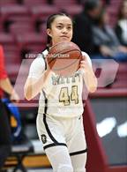 Photo from the gallery "Archbishop Mitty vs. St. Ignatius College Preparatory (CIF CCS Open Final)"