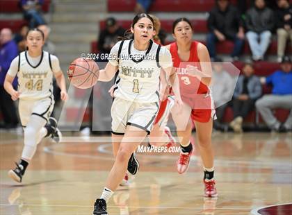 Thumbnail 2 in Archbishop Mitty vs. St. Ignatius College Preparatory (CIF CCS Open Final) photogallery.