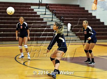 Thumbnail 3 in Fivay @ Wiregrass Ranch photogallery.