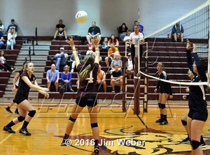 Thumbnail 3 in Fivay @ Wiregrass Ranch photogallery.