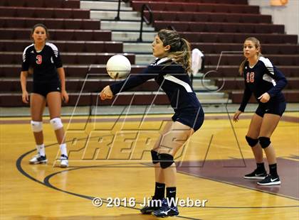 Thumbnail 1 in Fivay @ Wiregrass Ranch photogallery.