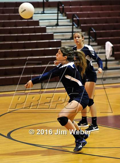 Thumbnail 3 in Fivay @ Wiregrass Ranch photogallery.