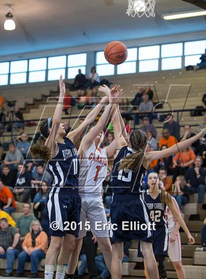 Thumbnail 2 in Bishop Carroll vs Clarion Area (PIAA Class A 1st Round) photogallery.
