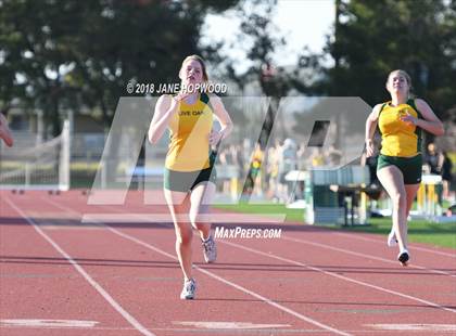 Thumbnail 1 in Hill @ Live Oak photogallery.