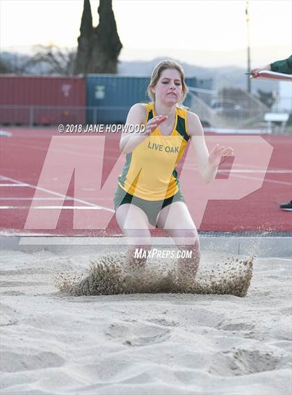 Thumbnail 3 in Hill @ Live Oak photogallery.