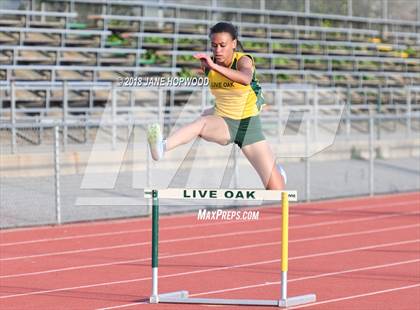 Thumbnail 1 in Hill @ Live Oak photogallery.