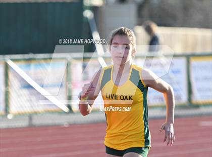 Thumbnail 2 in Hill @ Live Oak photogallery.