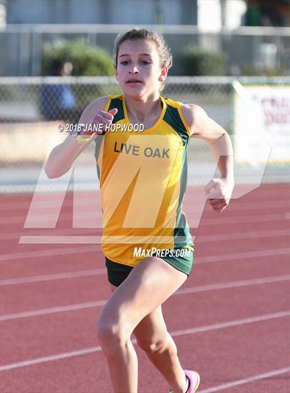 Thumbnail 2 in Hill @ Live Oak photogallery.