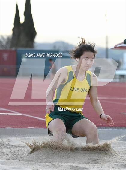 Thumbnail 2 in Hill @ Live Oak photogallery.