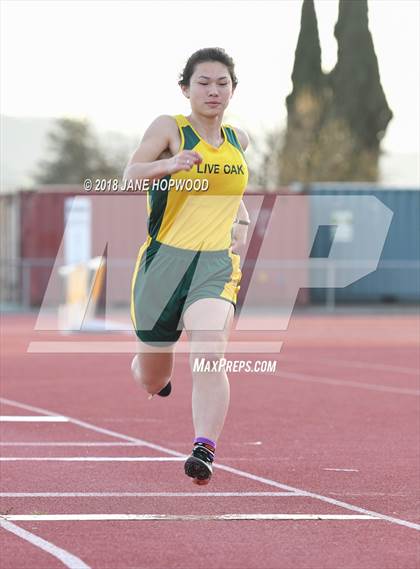Thumbnail 3 in Hill @ Live Oak photogallery.