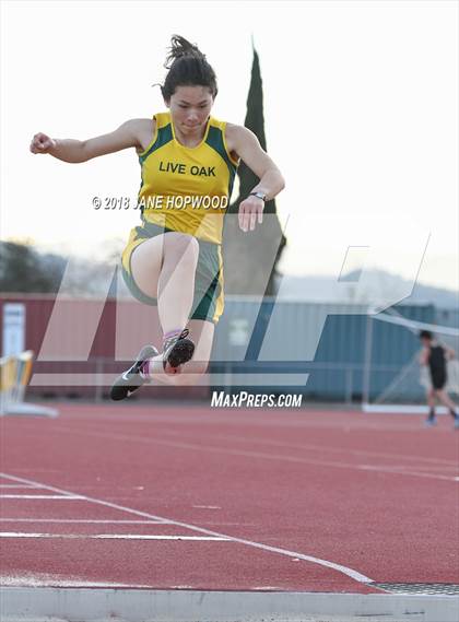 Thumbnail 3 in Hill @ Live Oak photogallery.