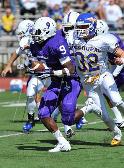 Thumbnail 2 in Mahopac @ New Rochelle photogallery.