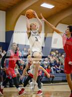 Photo from the gallery "Verbena @ Jemison"