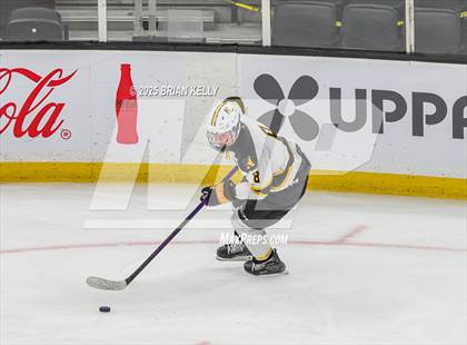 Thumbnail 1 in Nauset Regional vs Medfield (MIAA Division 3 Final)  photogallery.