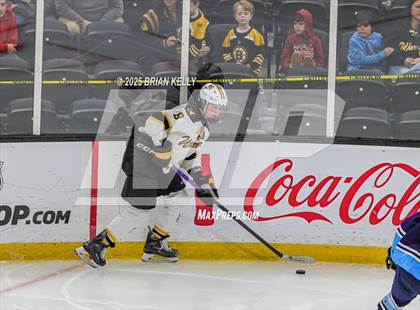 Thumbnail 1 in Nauset Regional vs Medfield (MIAA Division 3 Final)  photogallery.