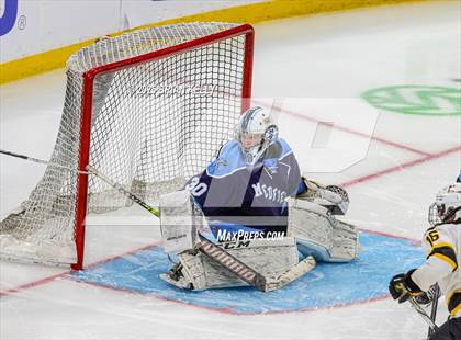 Thumbnail 2 in Nauset Regional vs Medfield (MIAA Division 3 Final)  photogallery.
