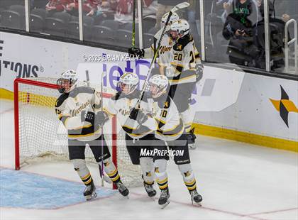 Thumbnail 1 in Nauset Regional vs Medfield (MIAA Division 3 Final)  photogallery.