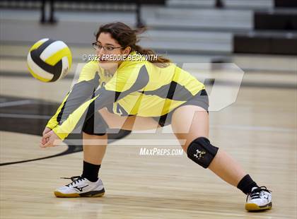 Thumbnail 1 in Sherman @ Denison photogallery.