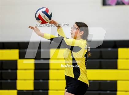 Thumbnail 1 in Sherman @ Denison photogallery.