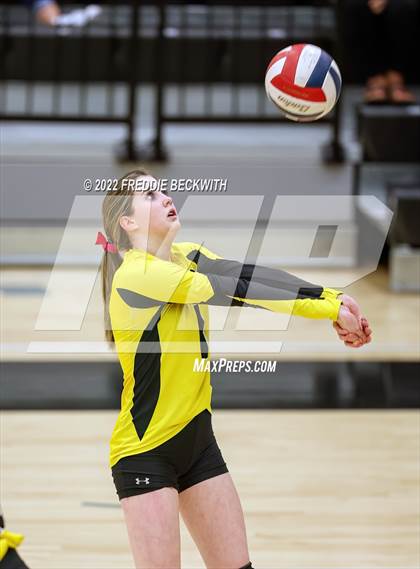 Thumbnail 1 in Sherman @ Denison photogallery.