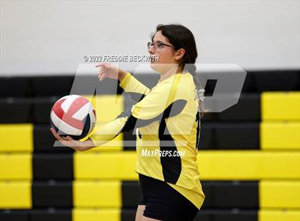 Thumbnail 2 in Sherman @ Denison photogallery.