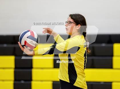 Thumbnail 3 in Sherman @ Denison photogallery.