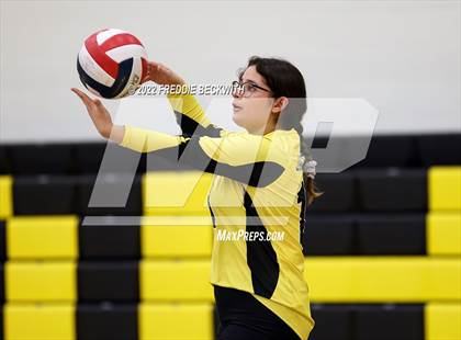 Thumbnail 3 in Sherman @ Denison photogallery.