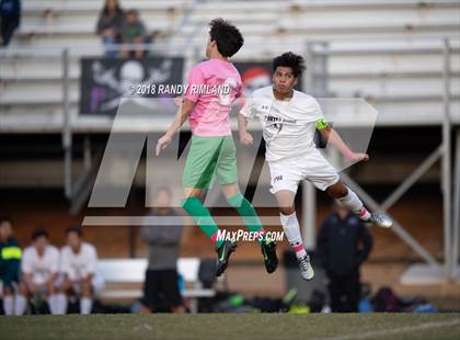 Thumbnail 1 in Porter Ridge @ Myers Park photogallery.