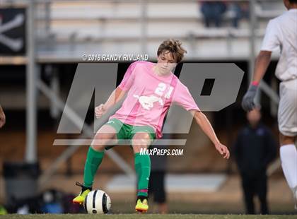 Thumbnail 1 in Porter Ridge @ Myers Park photogallery.