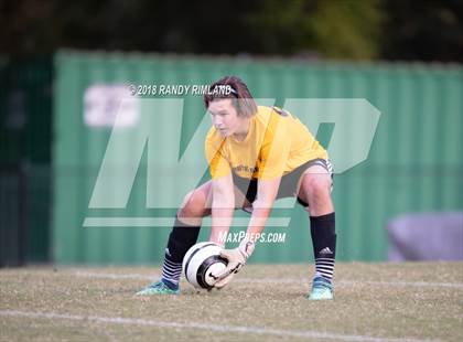 Thumbnail 3 in Porter Ridge @ Myers Park photogallery.