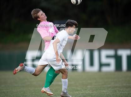 Thumbnail 1 in Porter Ridge @ Myers Park photogallery.
