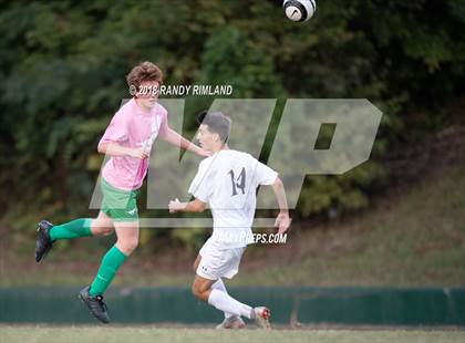 Thumbnail 2 in Porter Ridge @ Myers Park photogallery.