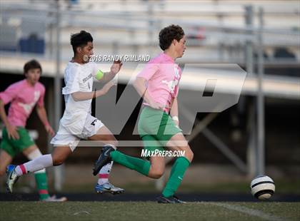 Thumbnail 1 in Porter Ridge @ Myers Park photogallery.