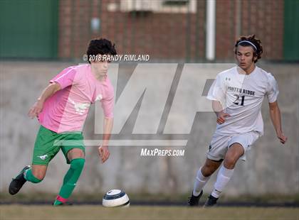 Thumbnail 1 in Porter Ridge @ Myers Park photogallery.