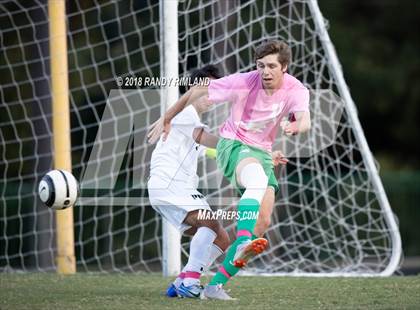 Thumbnail 3 in Porter Ridge @ Myers Park photogallery.