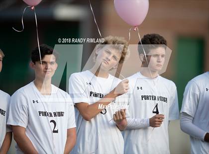 Thumbnail 1 in Porter Ridge @ Myers Park photogallery.