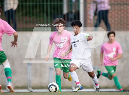 Thumbnail 2 in Porter Ridge @ Myers Park photogallery.