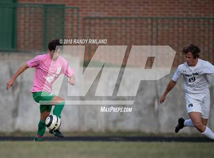Thumbnail 3 in Porter Ridge @ Myers Park photogallery.